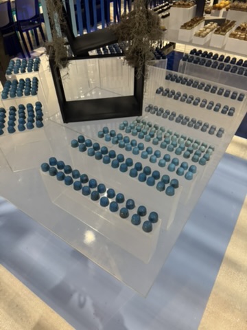 Bar Mitzvah treats